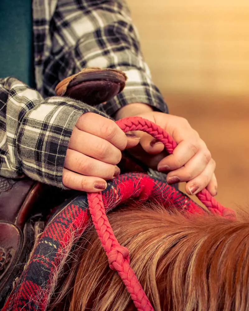 A student holds a bridle while participating in an equine therapy program for teens at Discovery Ranch South, a residential treatment center for girls and teens assigned female at birth