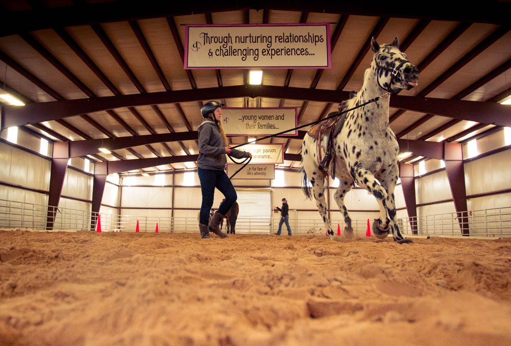 Clients work with horses while participating in an equine therapy program for teens | Discovery Ranch South - An equine residential treatment center for teenage girls and adolescents assigned female at birth