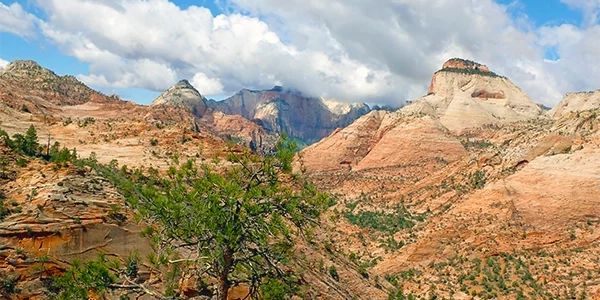 Zion National Park, a frequent location students visit while participating in adventure therapy at Discovery Ranch South, a Residential Treatment Center for Girls and Teens Assigned Female at Birth